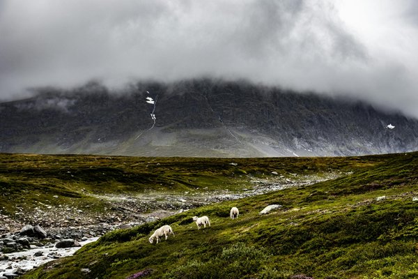 Comment organiser un camping pour une expédition de kayak dans les îles Féroé?